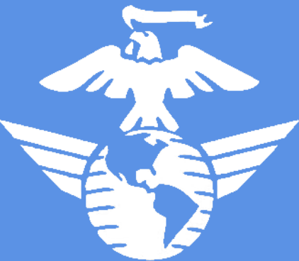 Файл:DMCA Logo.png